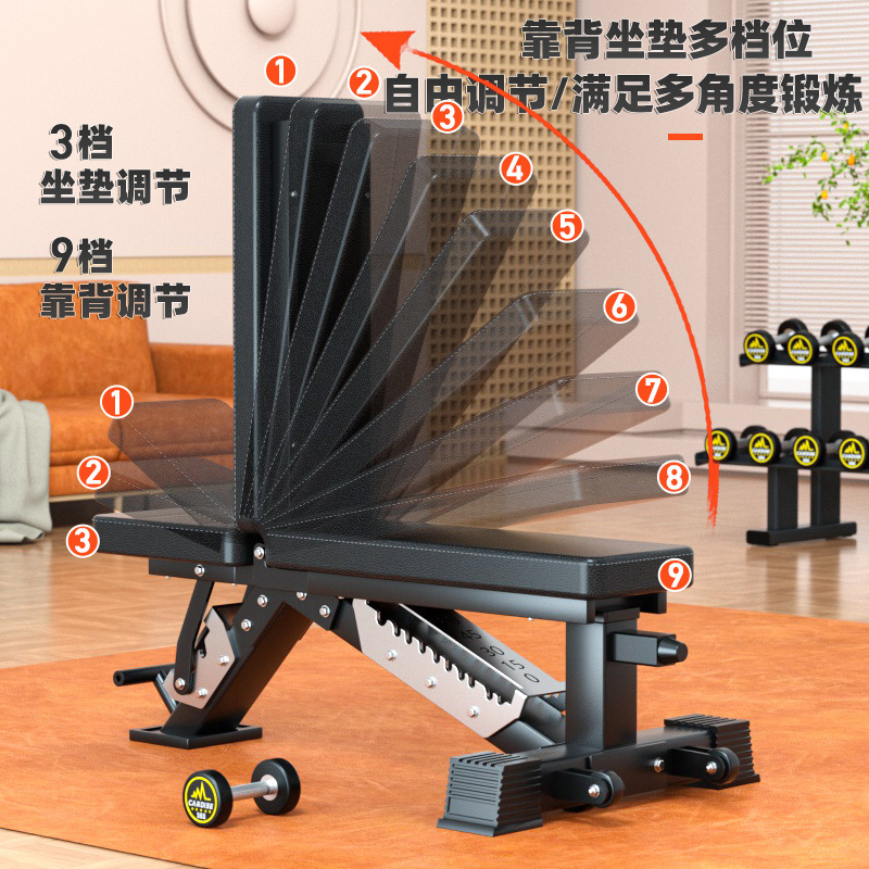 Bangku Dumbbell Multi-Fungsi y - Dumbbell Set ulasan dan harga